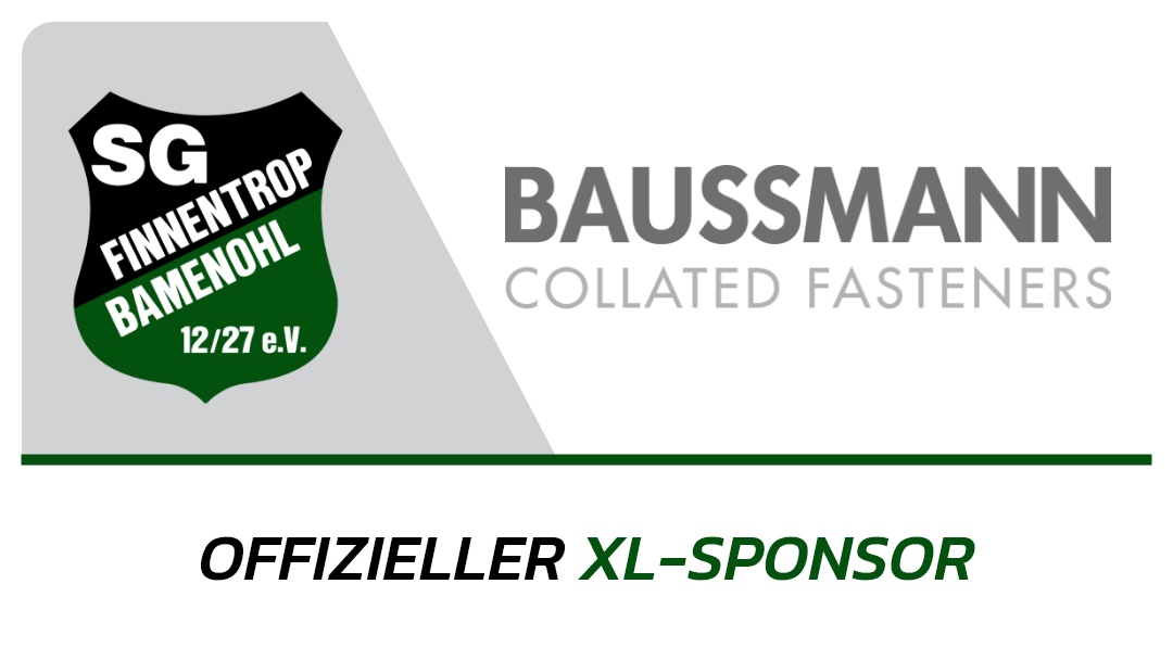 Logo-BAUSSMANN Collated Fasteners