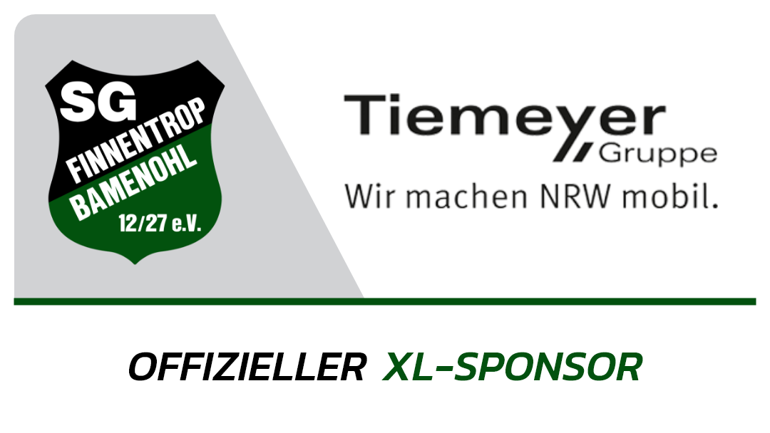 Logo-TIEMEYER Gruppe